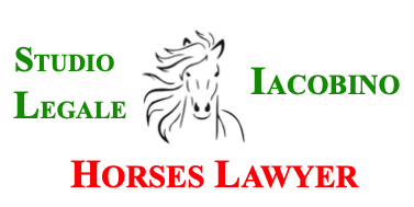 Horses Lawyer